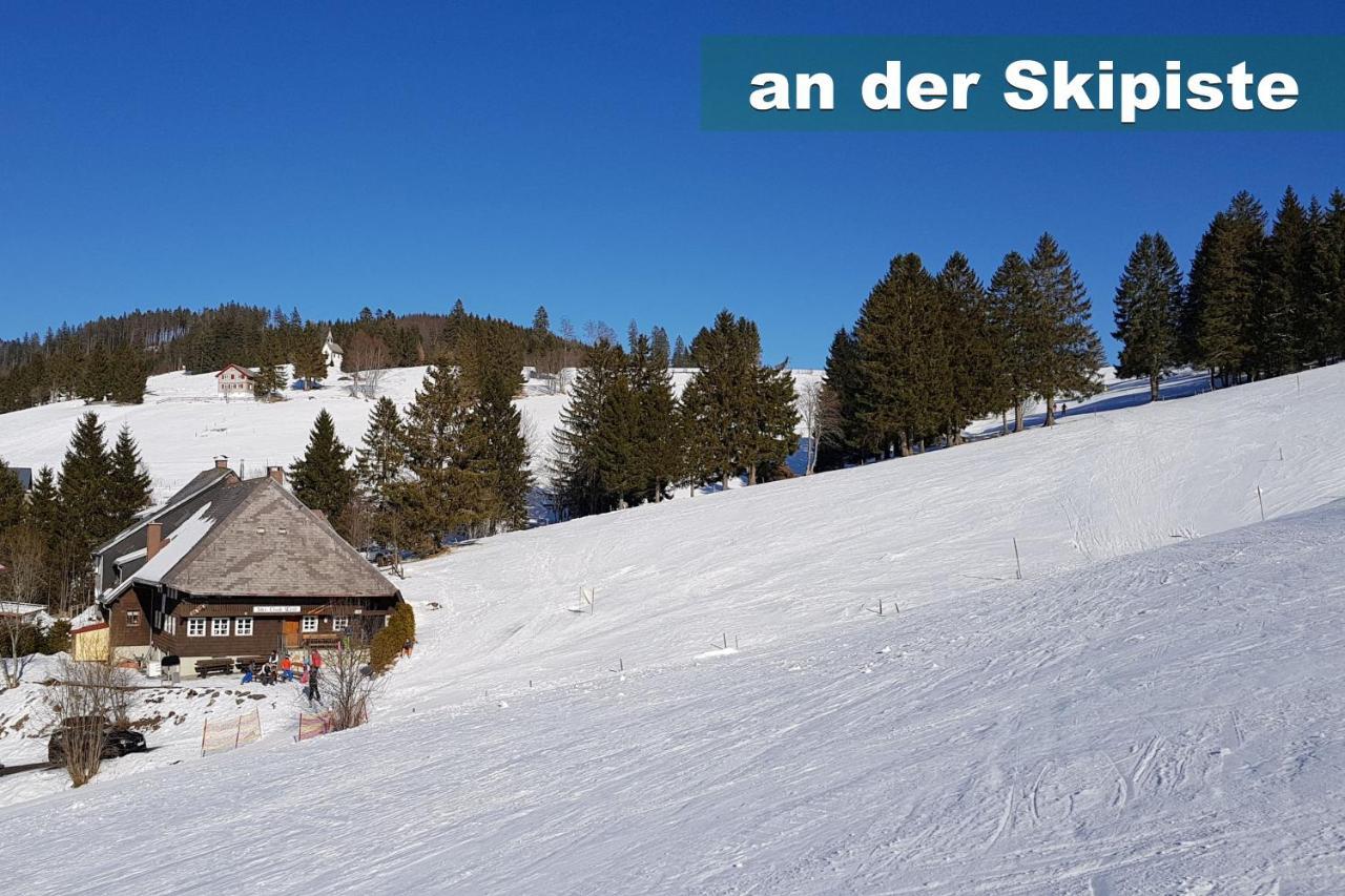 Wohlfuehl-Ferienwohnung 80 Qm, 8 Personen, Aussicht & Heimkino ทอดท์เนา ภายนอก รูปภาพ