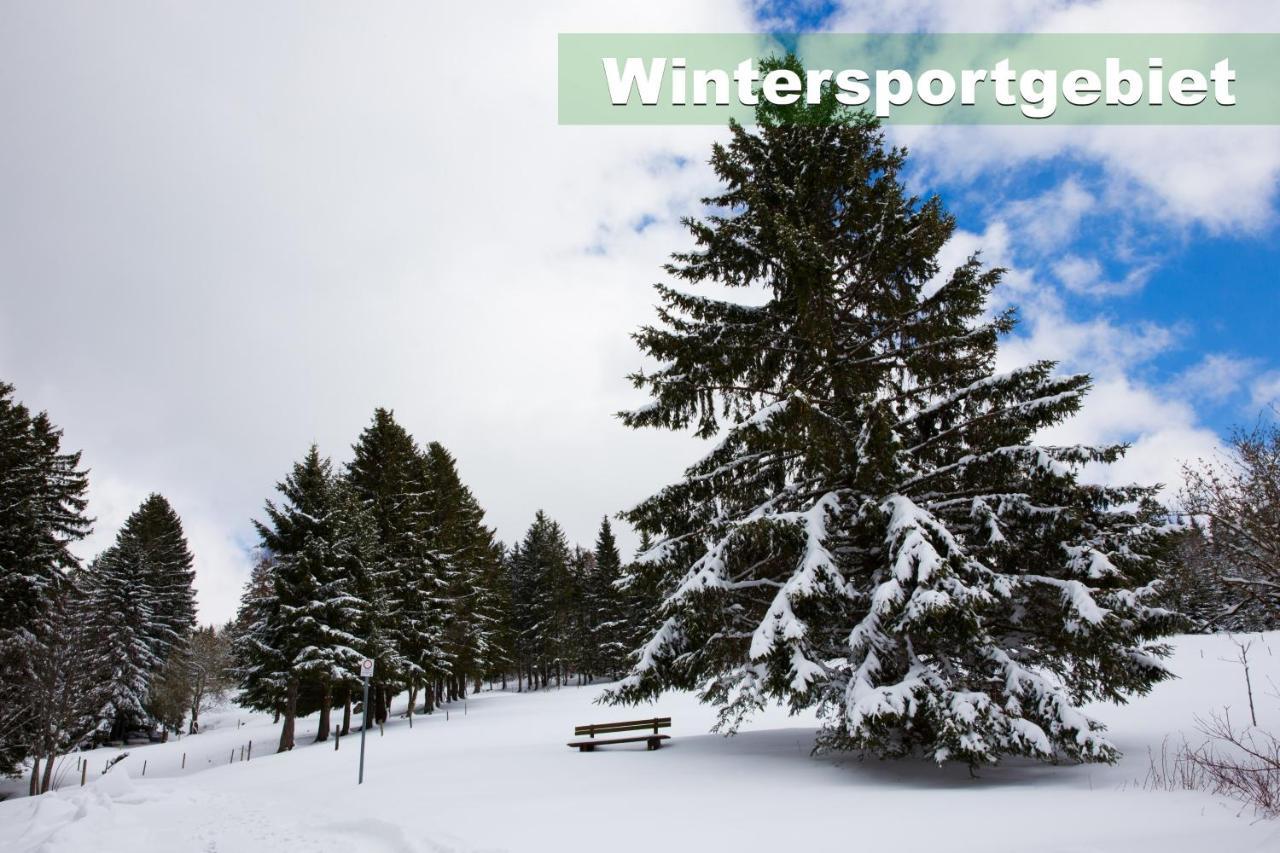 Wohlfuehl-Ferienwohnung 80 Qm, 8 Personen, Aussicht & Heimkino ทอดท์เนา ภายนอก รูปภาพ