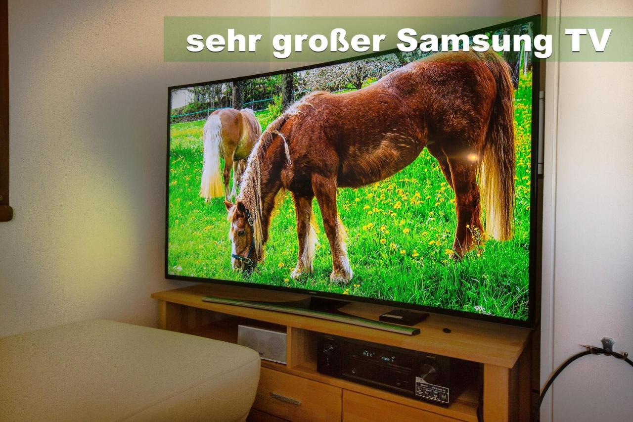 Wohlfuehl-Ferienwohnung 80 Qm, 8 Personen, Aussicht & Heimkino ทอดท์เนา ภายนอก รูปภาพ